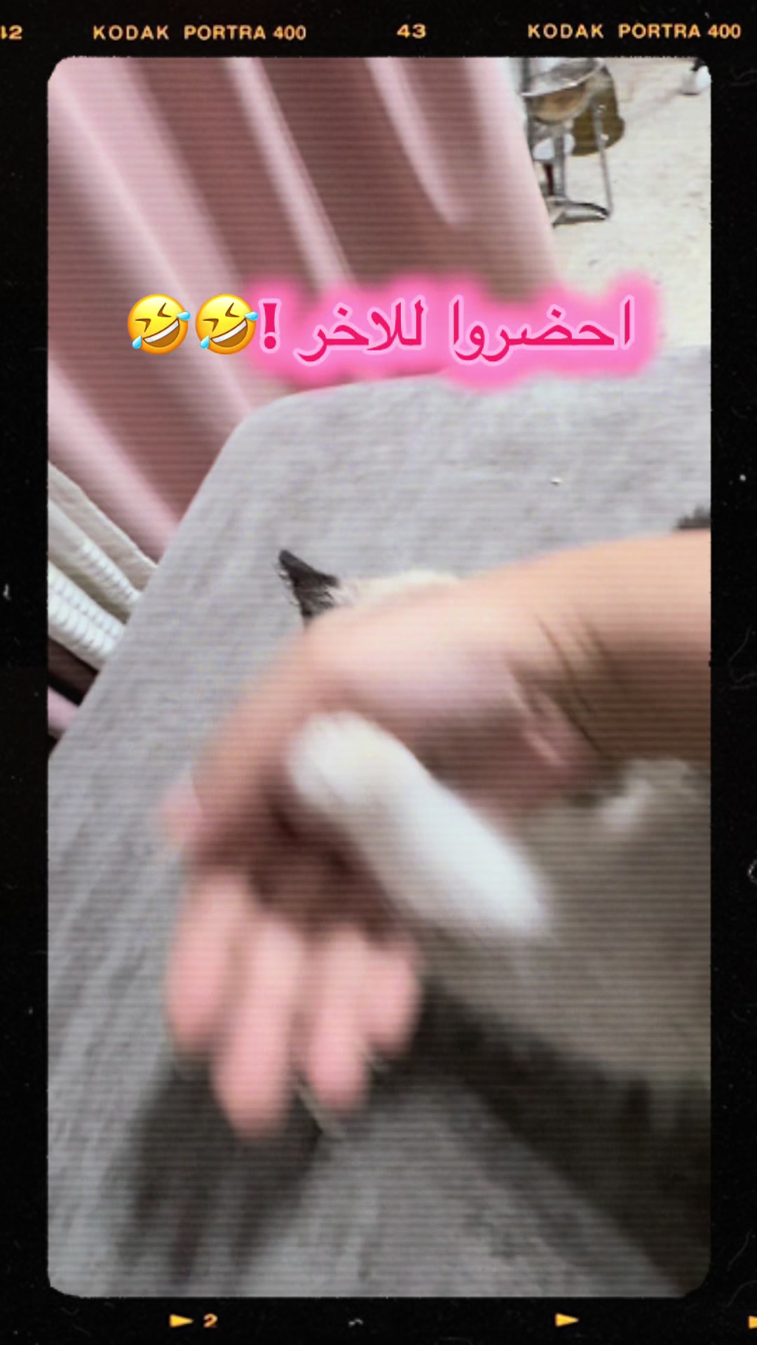 @Sandy Fayad