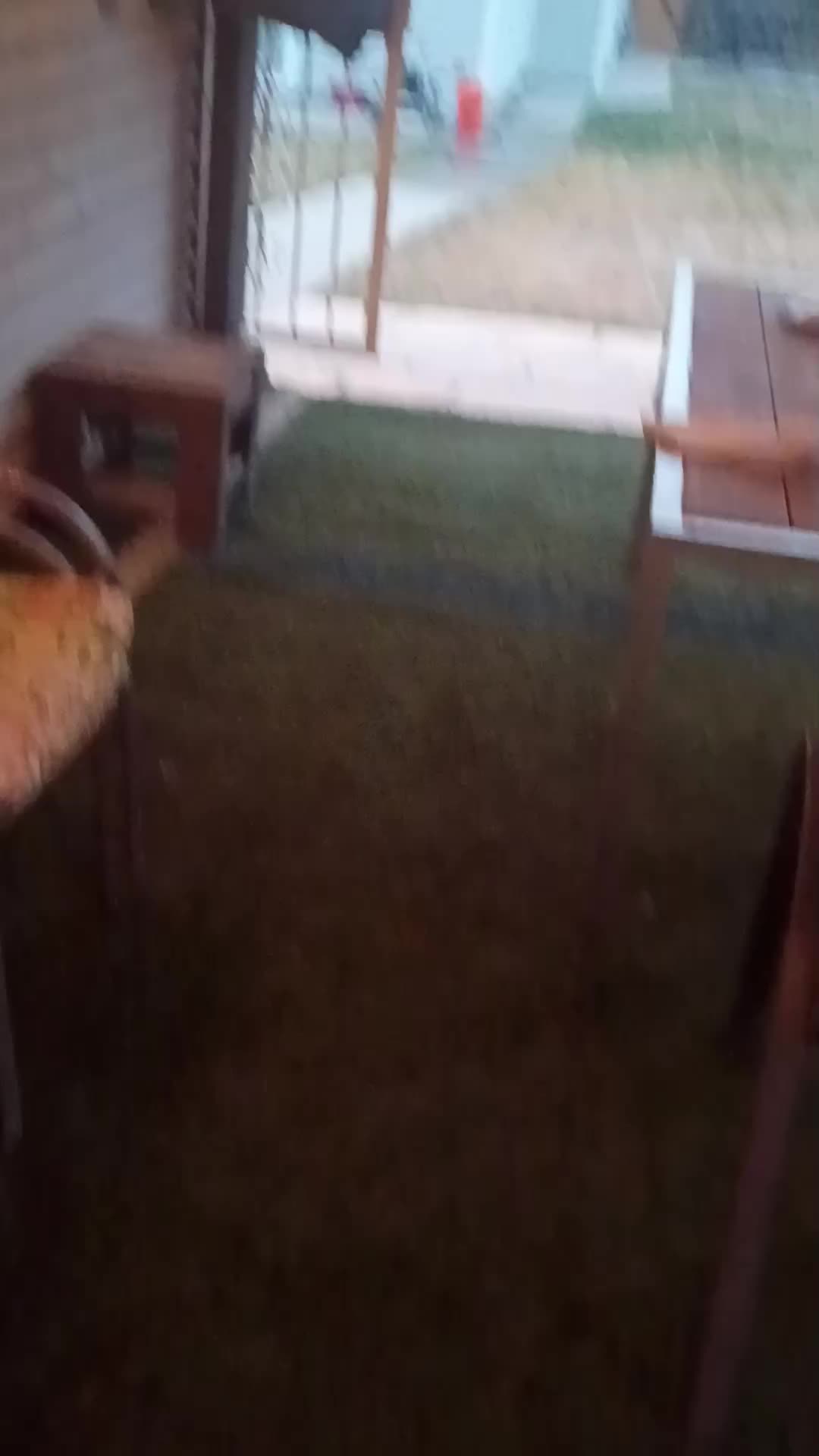 @Manuel Herrera.