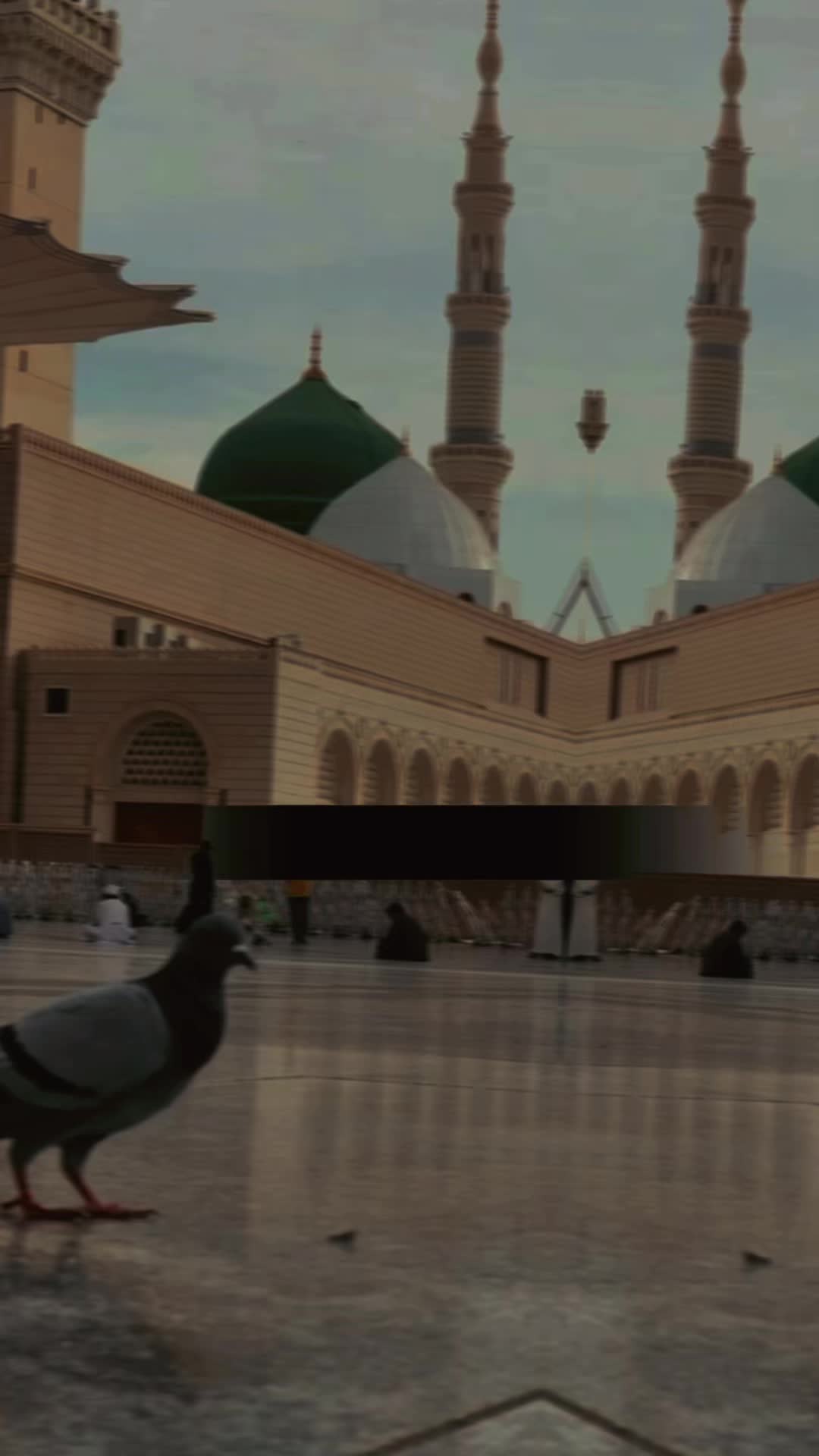 @noor