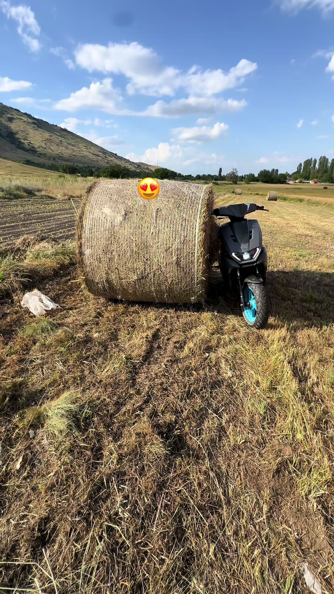 @Zajce🐇