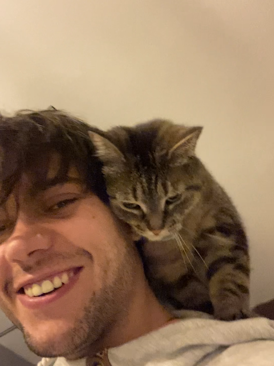 @Bellarda the cat