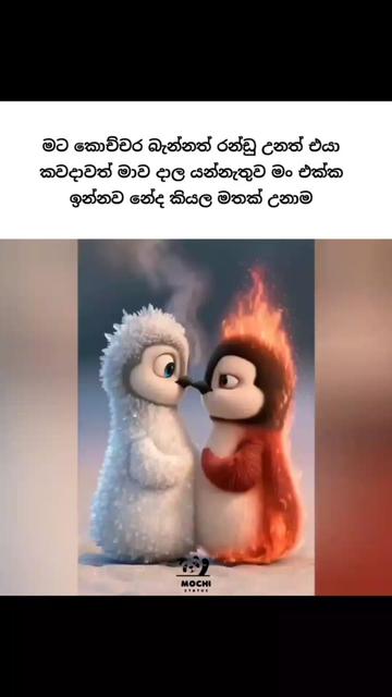 @<м&sigma;&cent;н&iota; ѕт&alpha;т&upsilon;ѕ🐼🤍