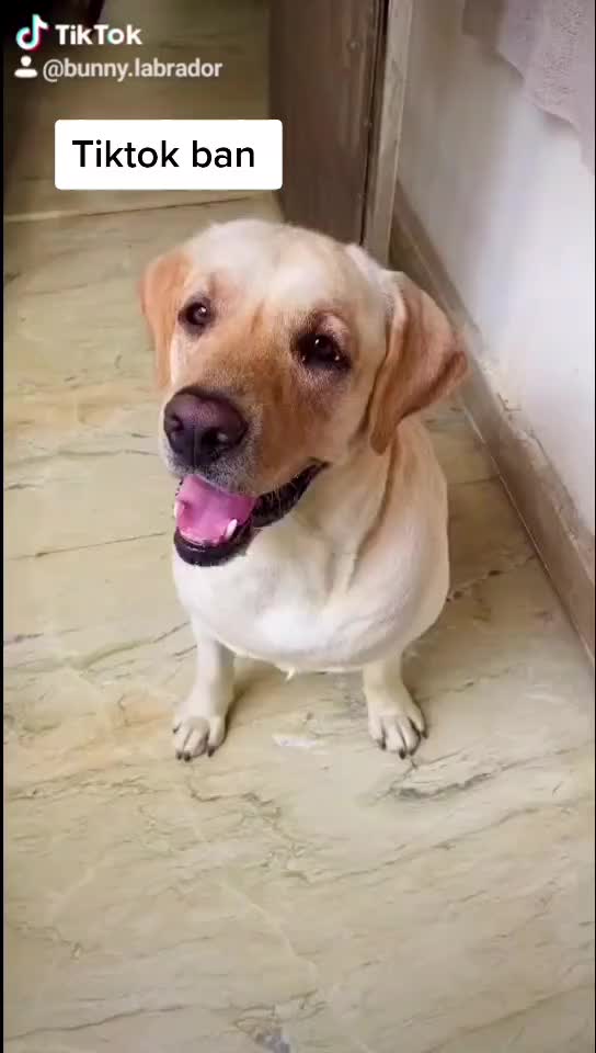 @user38530715122