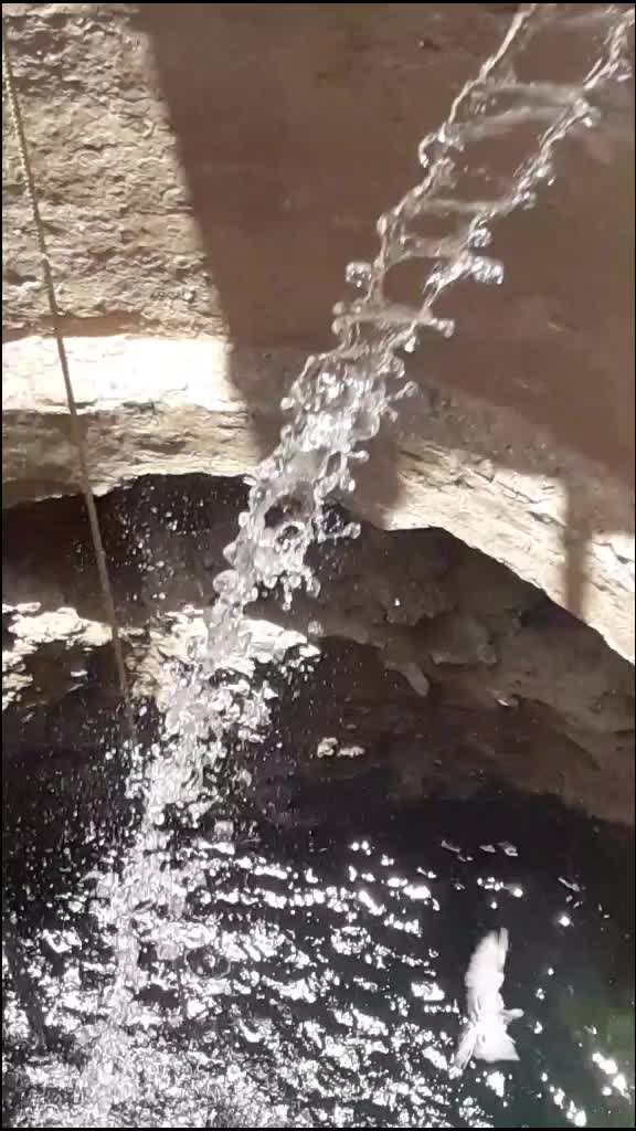 @Shrirsm 786