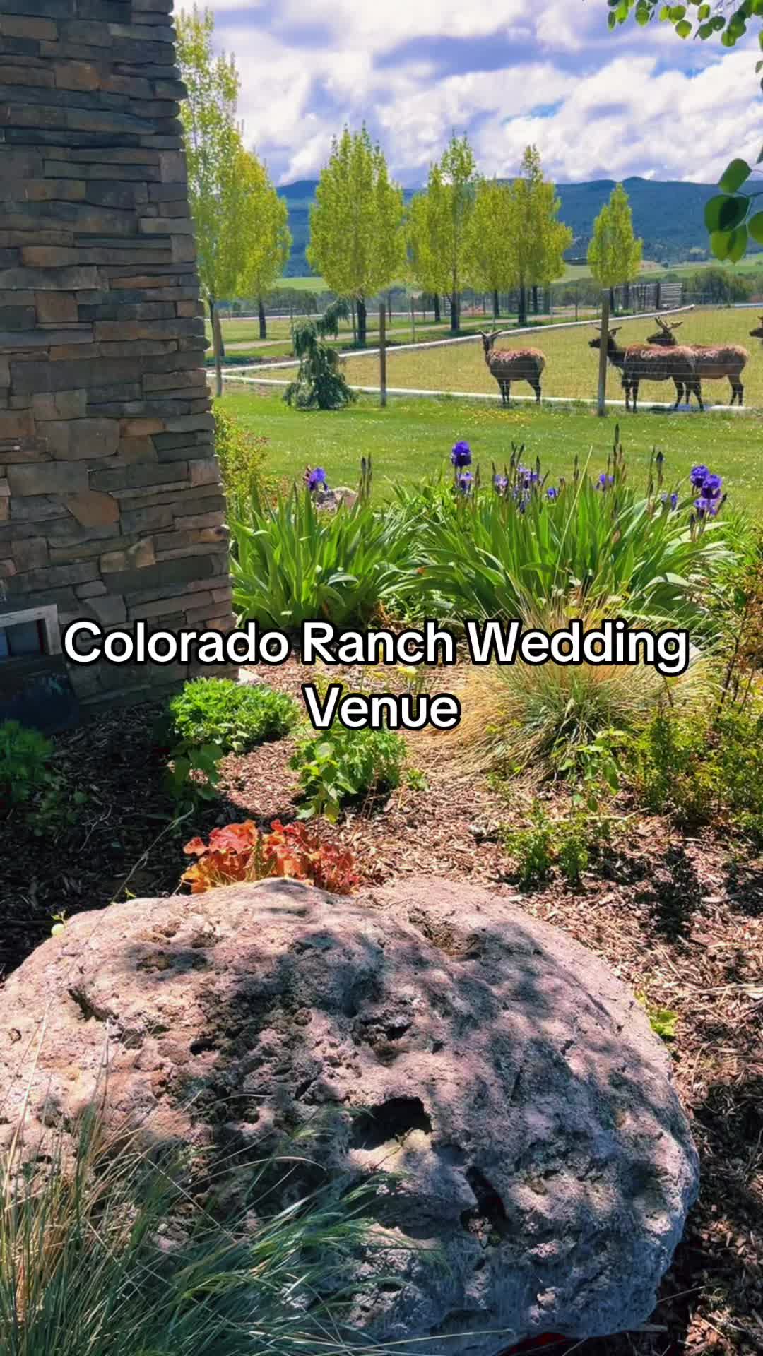@Antlerridge Weddings
