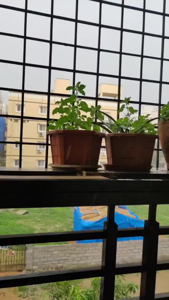 @janithachinnichowdry