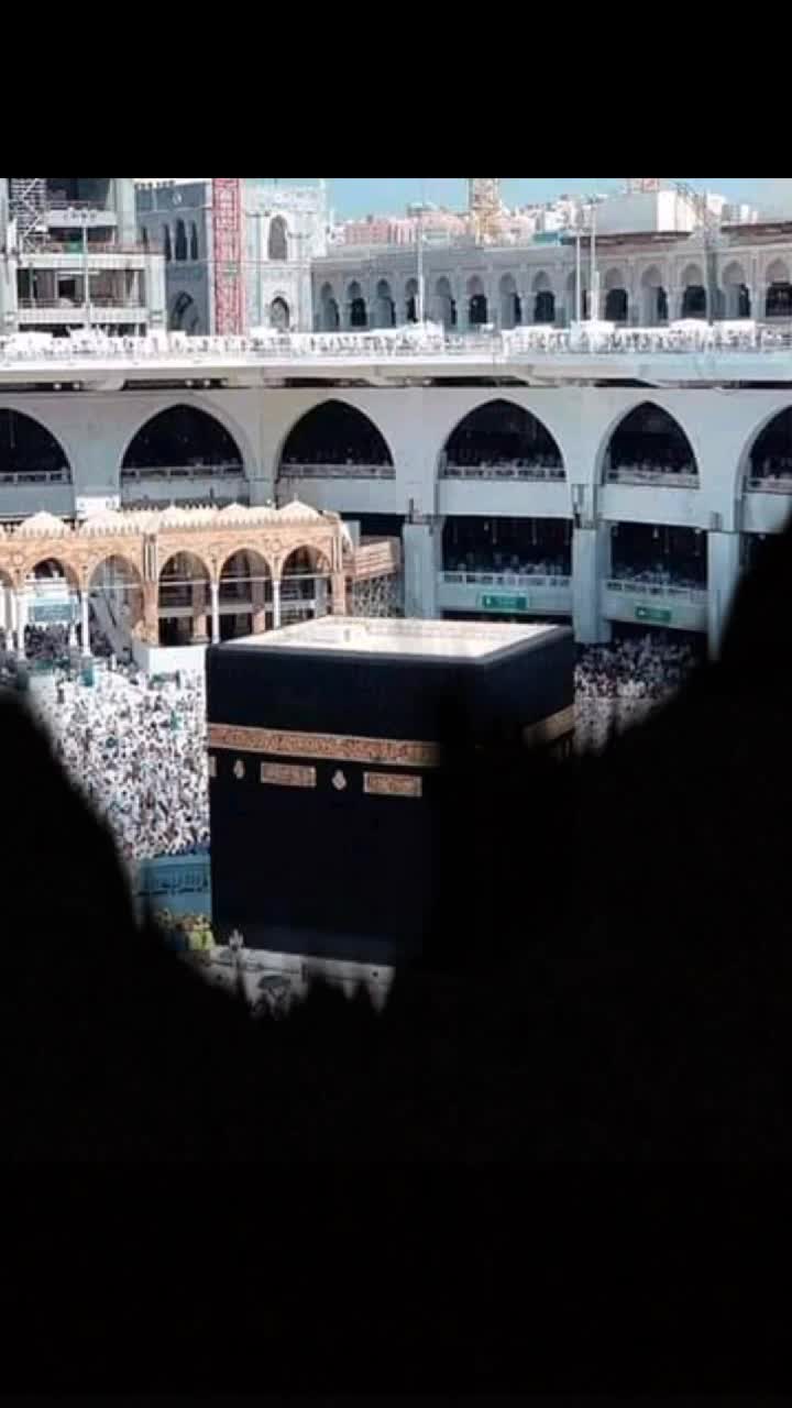 @IBRAHIM1221