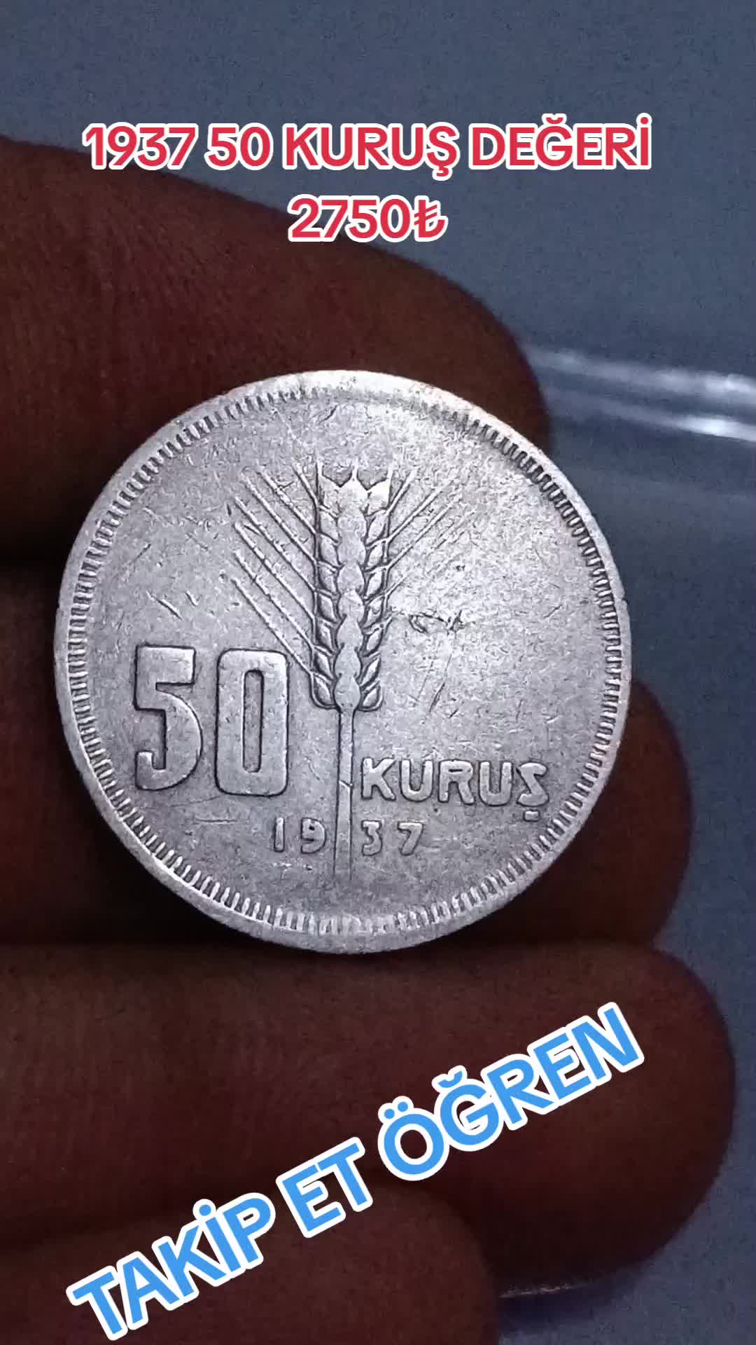 @34 KOLEKSİYON