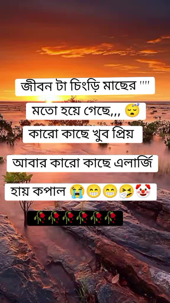 @🦋তোমাগো তিড়িং বিড়িং আফা🦋