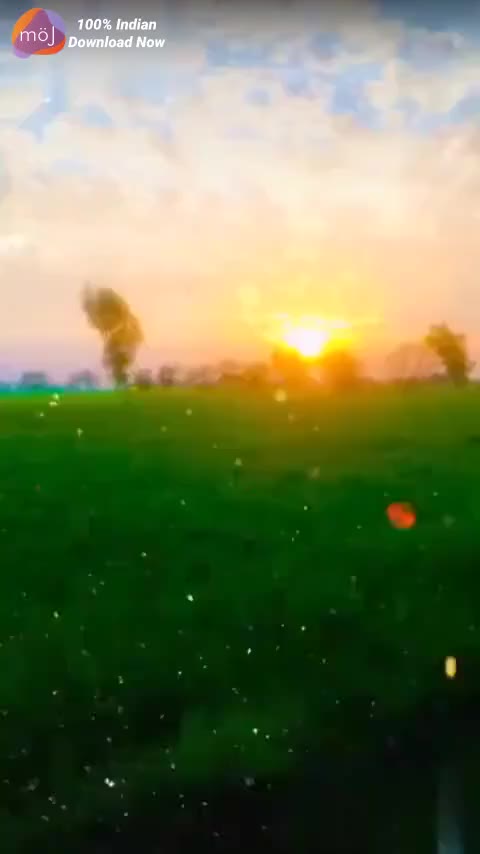 @maan0000