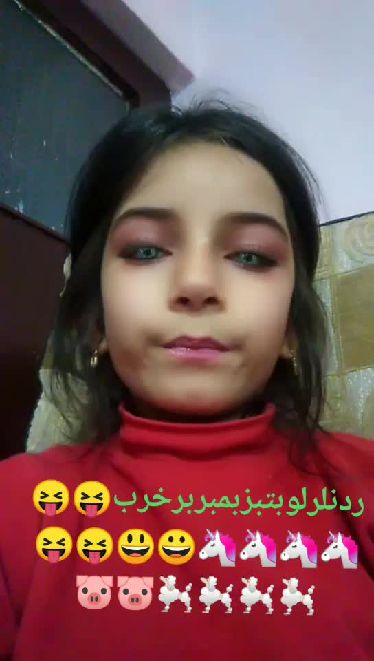 @Hiba Habus