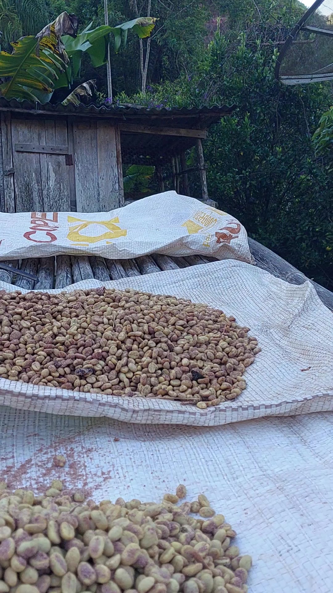 @🌿🌾Mineirinha do Agro🌿🌾
