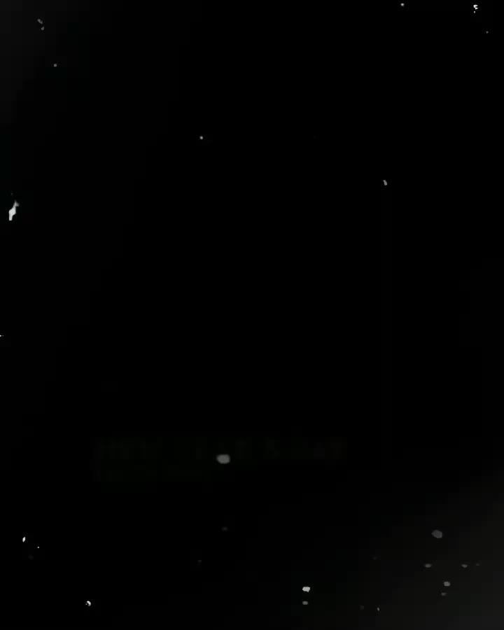 @l e e  ⸆⸉