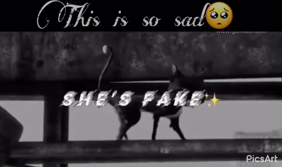 @X fan