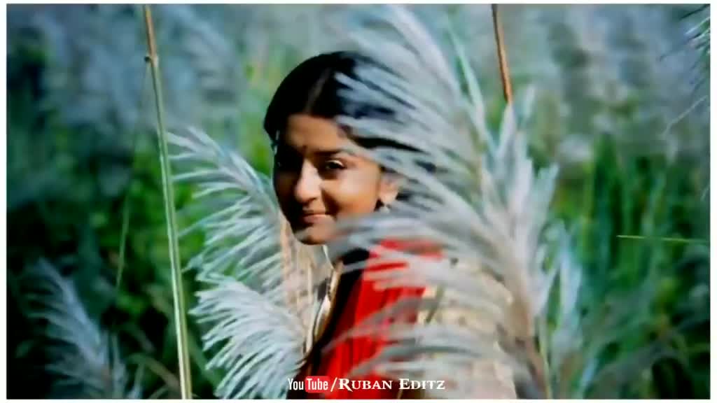 @SINGLE_DOSA