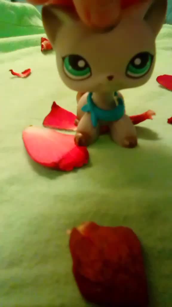 @evesmoon