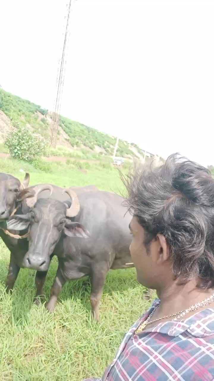 @Sandeep dada