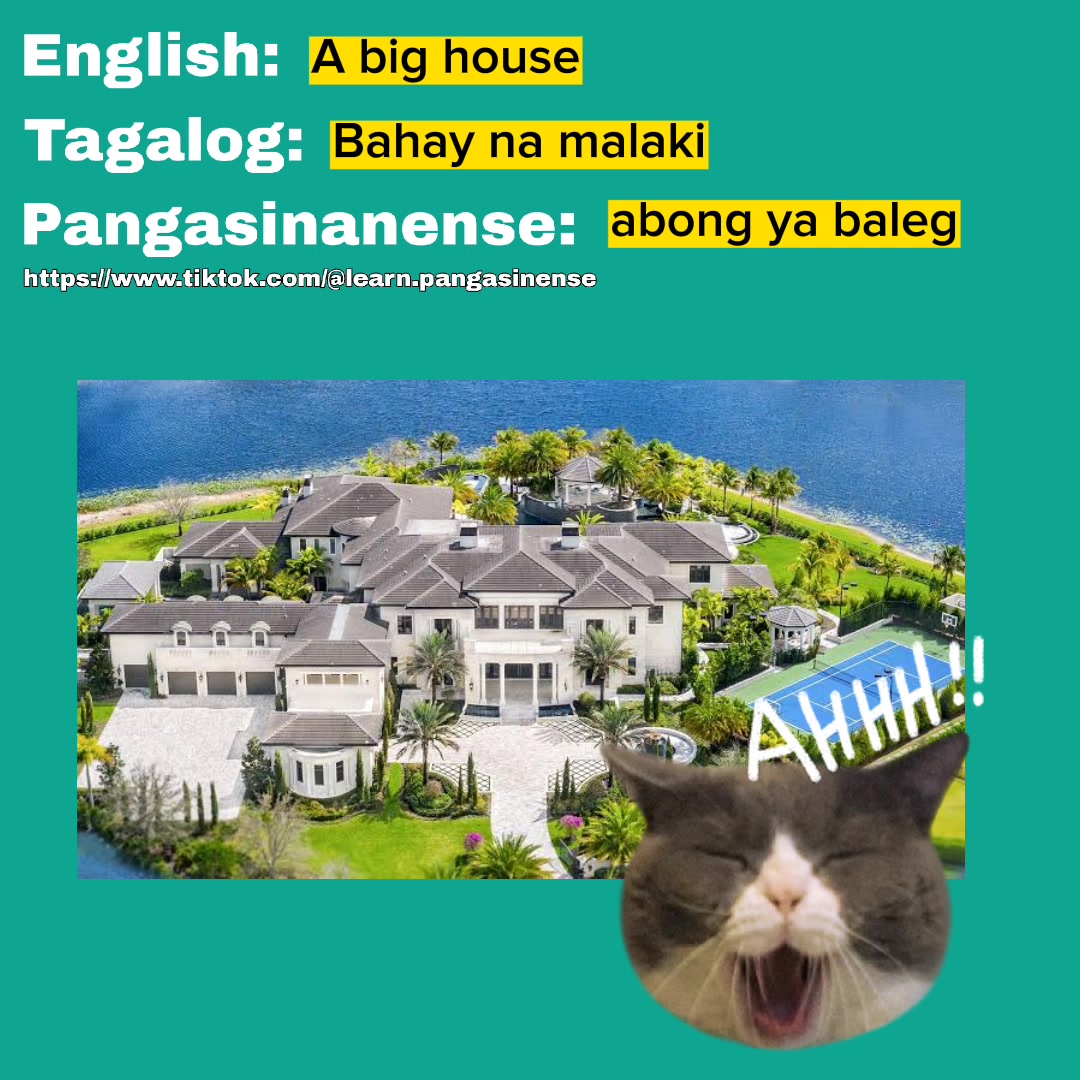 @Pangasinense Language