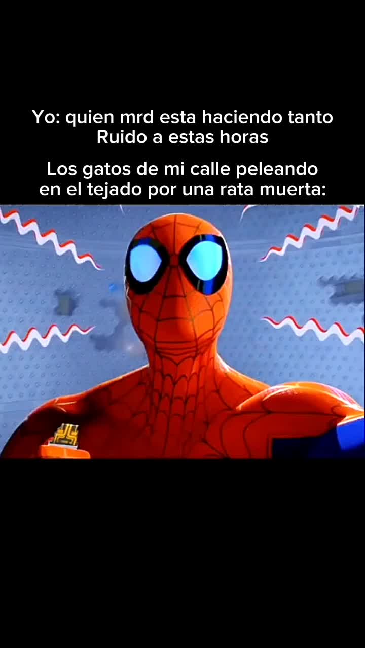 @zterrs