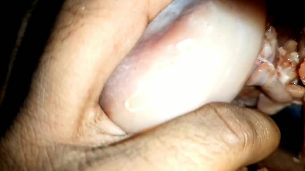 @Tabrez Aslam