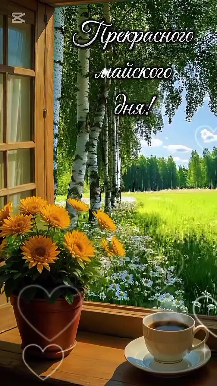 @Ёлита