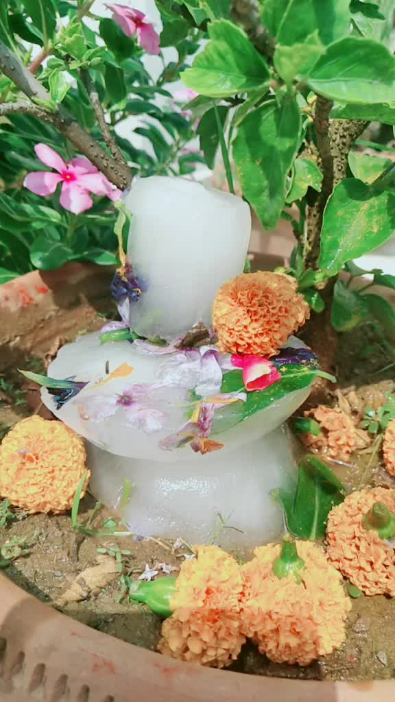 @neetu2769