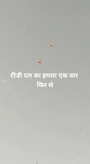 @Raj & anu