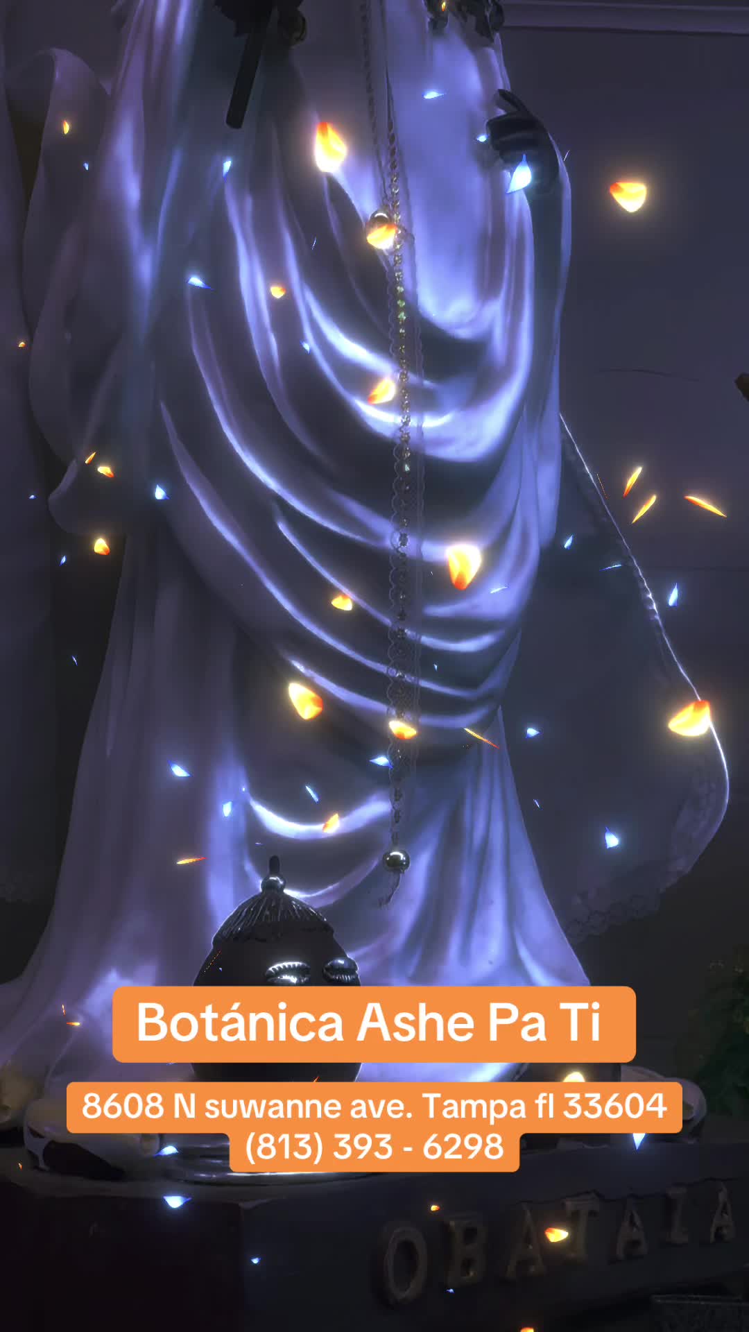 @Ashepati_botanica