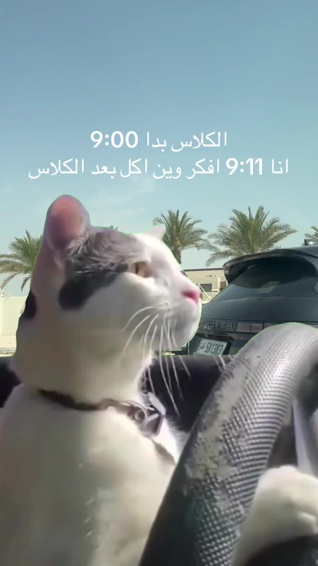 @user39556571203