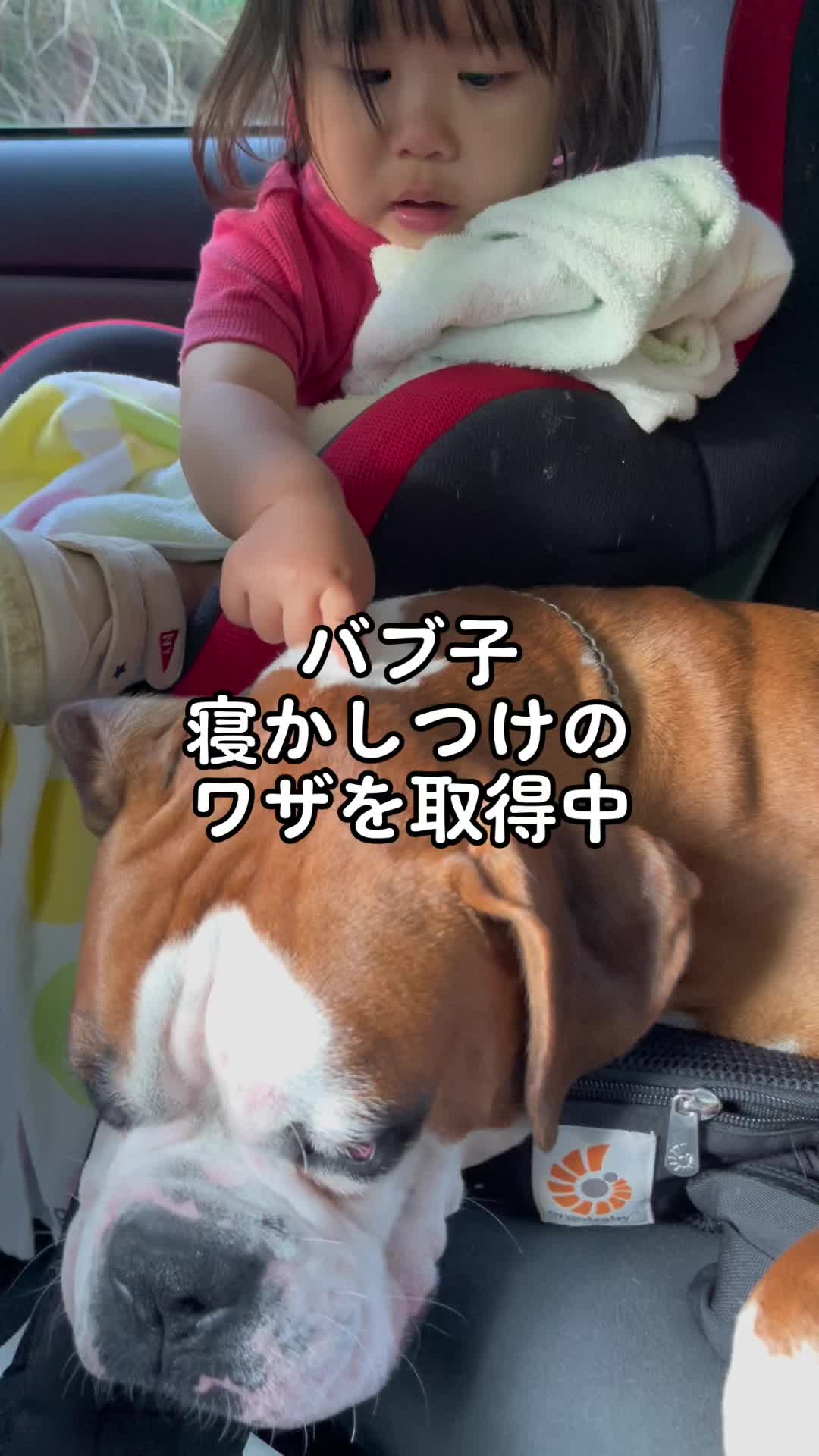 @進撃のバブ子🍉