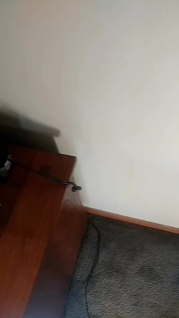 @Aokss