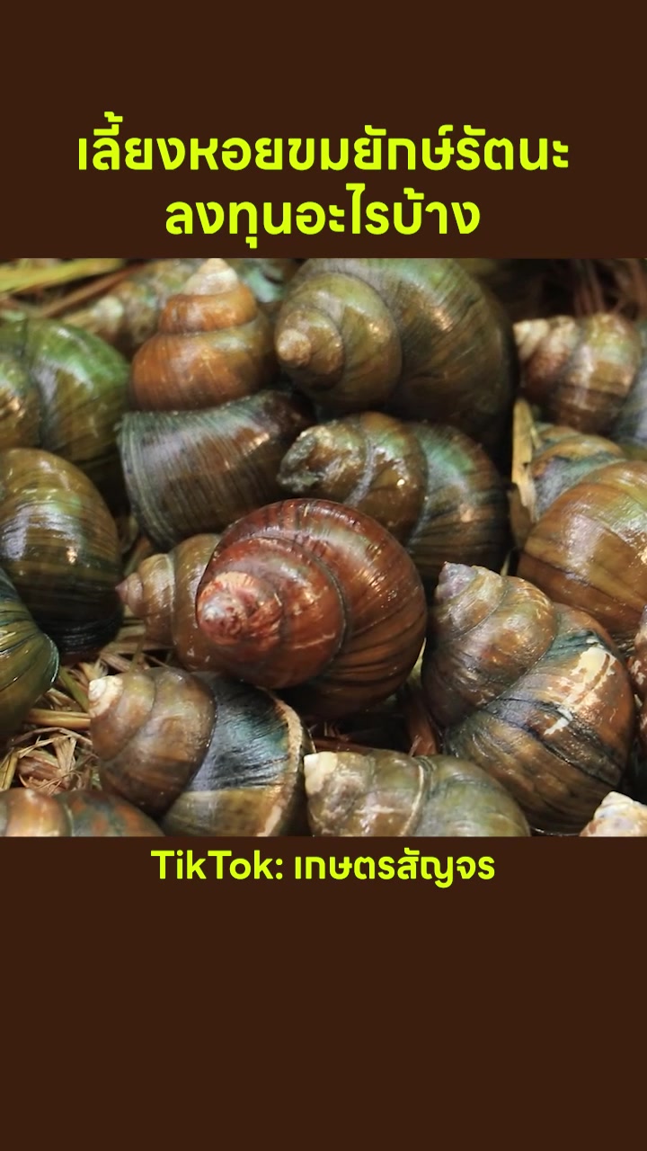 @เกษตรสัญจร