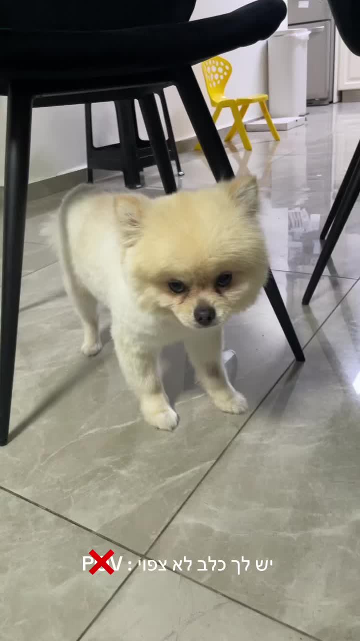 @Hileissy