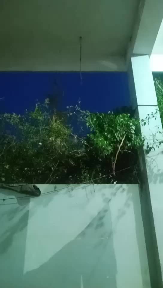 @kukinda bhagyalaaxmi