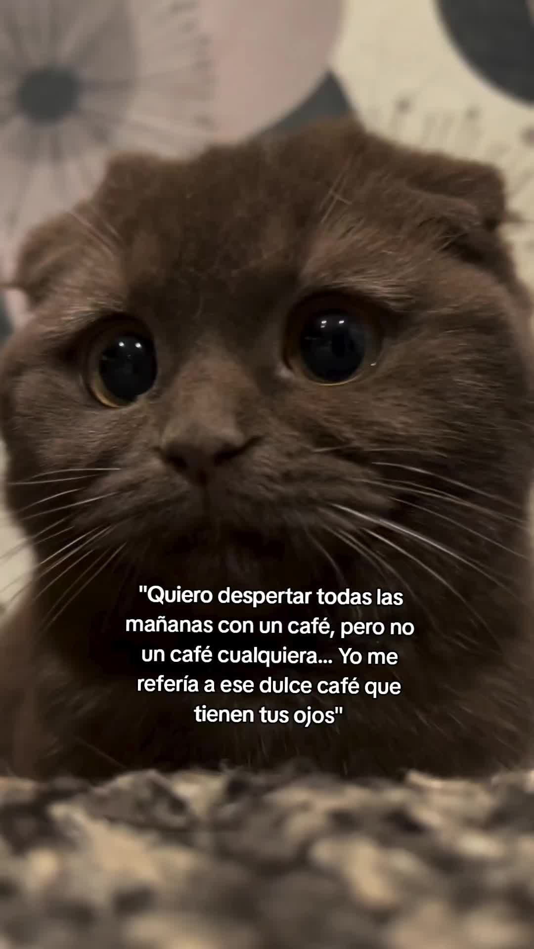 @crissparker
