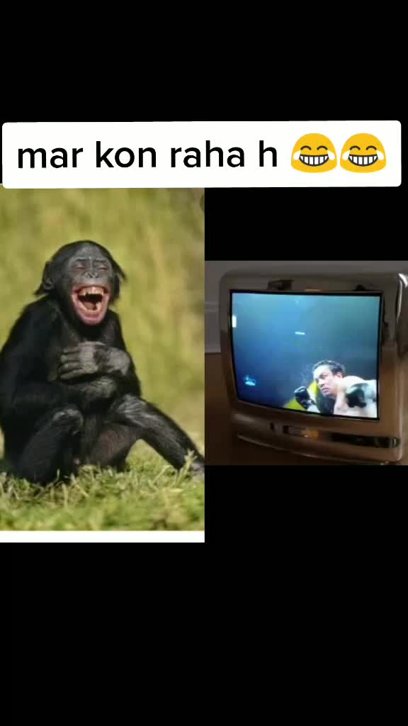 @Rohit Kashyap