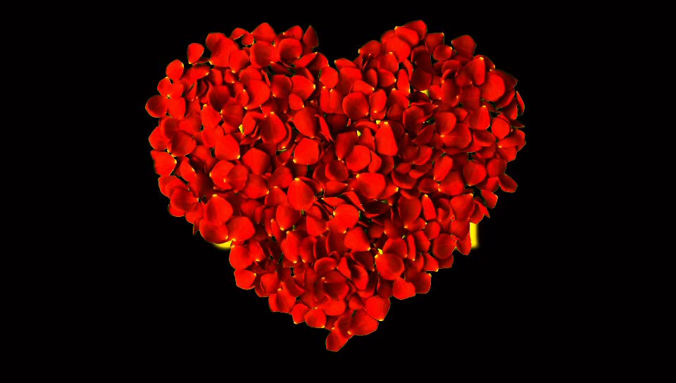 @hiran