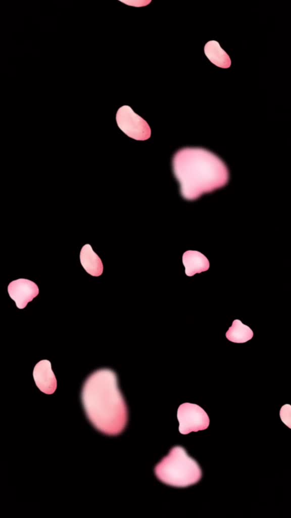 @๐๐๐love๐๐๐