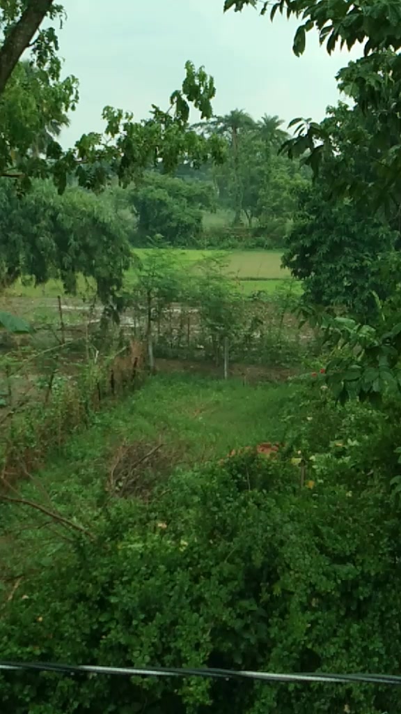 @Rupali Nath Sharma