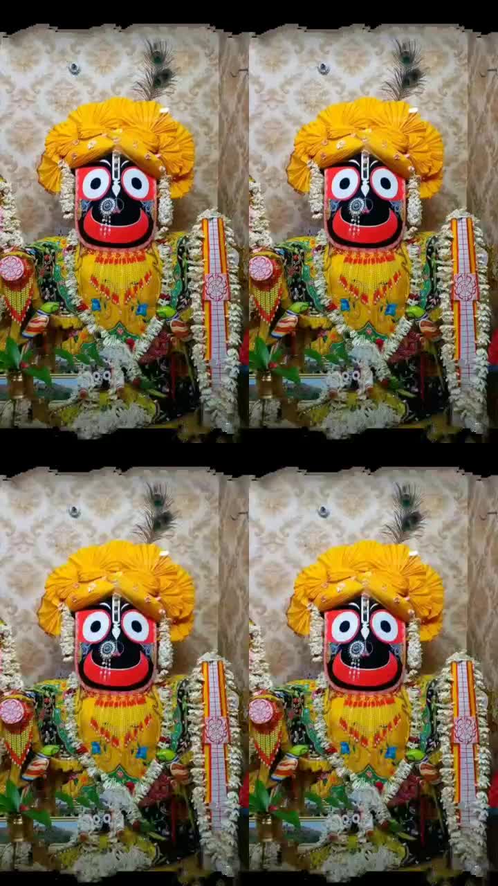 @user1950258454556