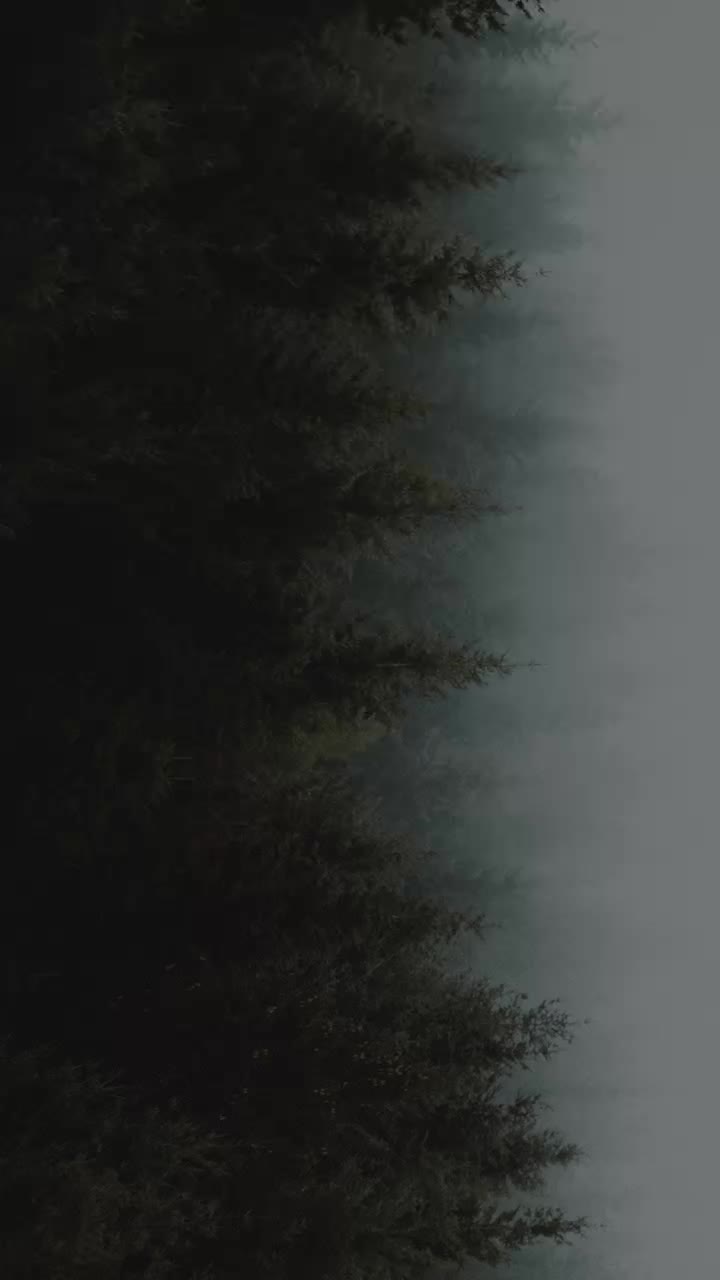 @Nomi... das