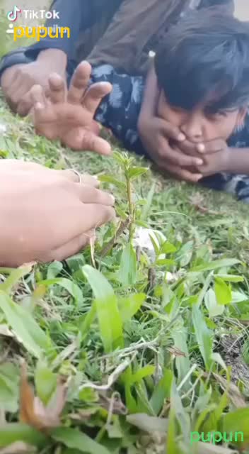 @princepupun