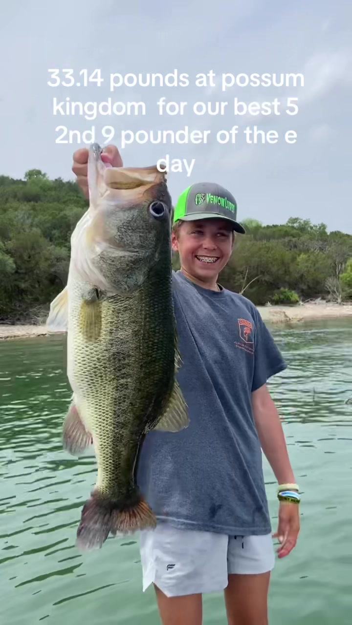 @Mark_Cerja