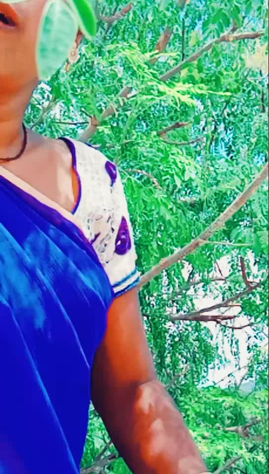 @Shobha Kivya
