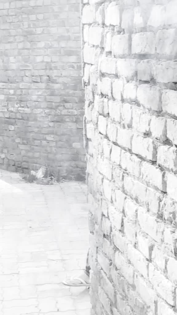 @rinkugill 98113