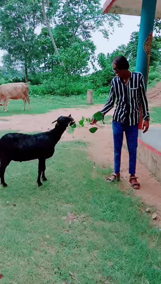 @Amar Tarai