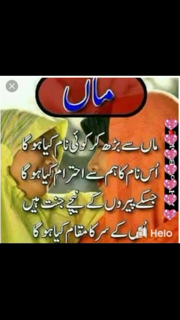 @skatif1137