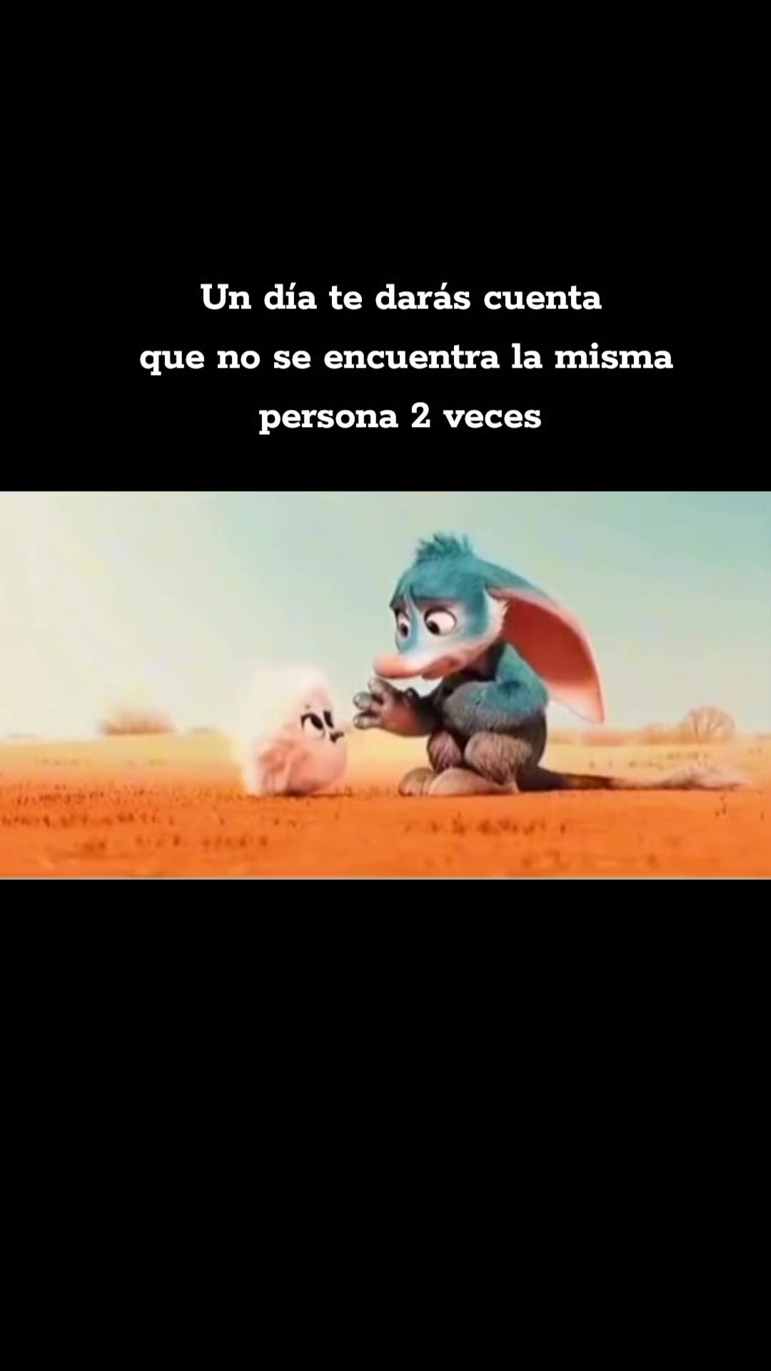 @Daniela AC