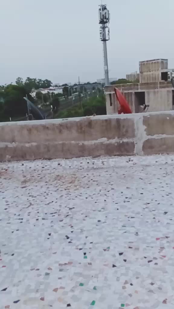 @SR. Shilaj Vada