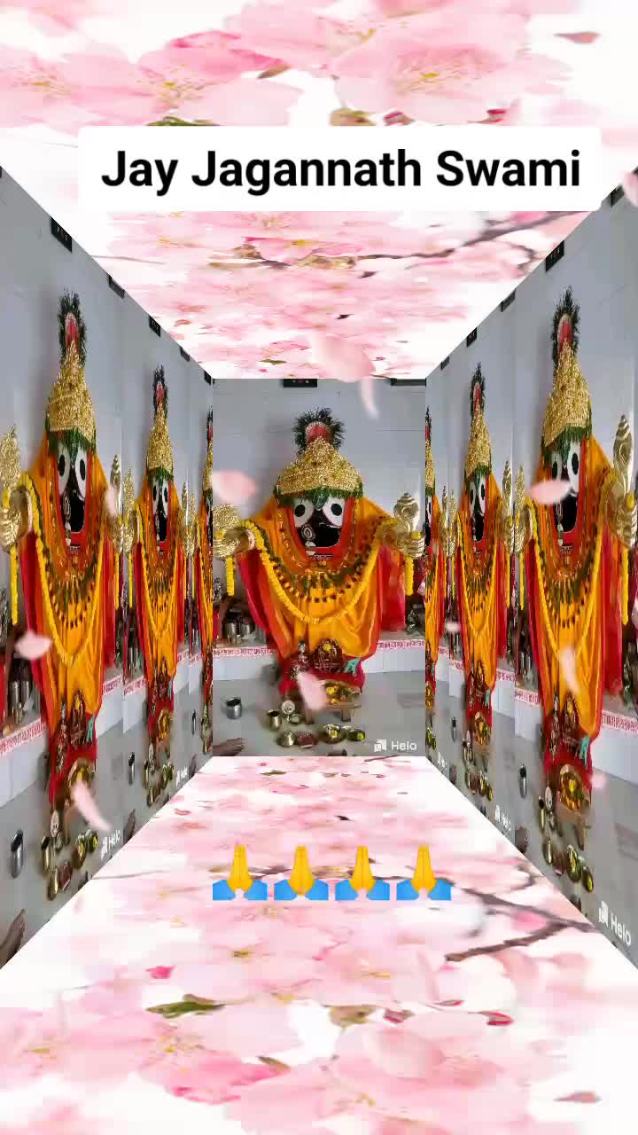 @user1913832233691